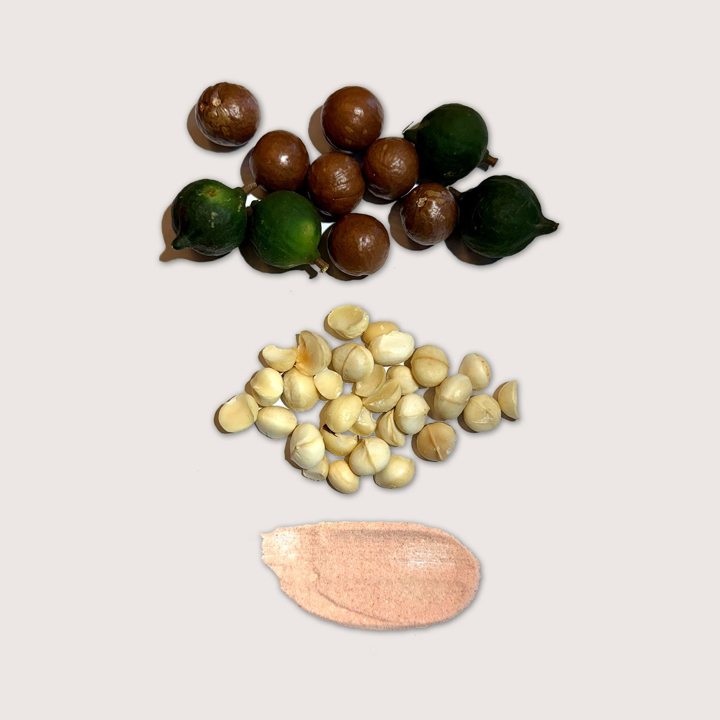 Geez Nuts Roasted & Salted Macadamia Nuts